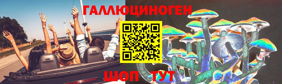 Грязи  Псилоцибиновые грибы MAGIC MUSHROOMS  Вход с VPN 